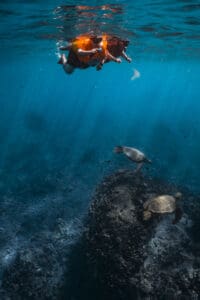 Oahu snorkeling with turtles beginners, LILO AND STITCH FILMING LOCATION