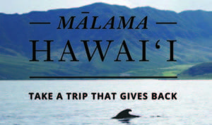 malama hawaii through citizen science on our nature tours