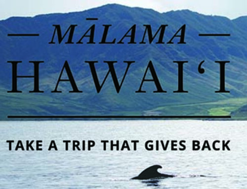 Citizen Science Oahu | Nature Tour to Malama Hawaii