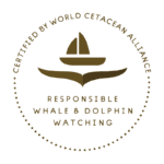 WCA Certified Responsible Whale and Dolphin Watching