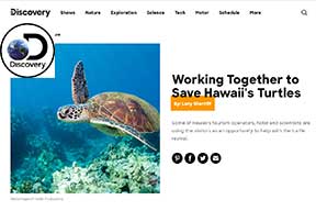 discovery_channel_hawaii_snorkel_turtles