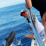 oahu dolphin tour bottlenose dolphin ko olina ocean adventures