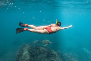 how to snorkel with turtles oahu