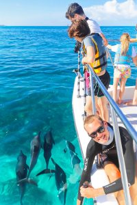Wild Side Photo packages