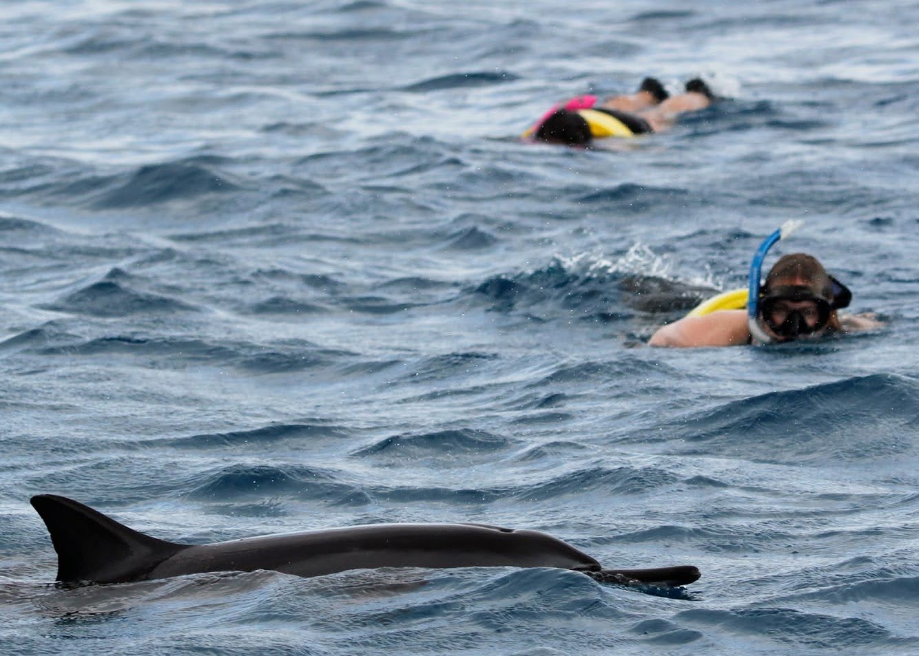 Snorkeling Gear for Adults-452 Your Complete Guide to the 6 Best Snorkeling Gear for Adults