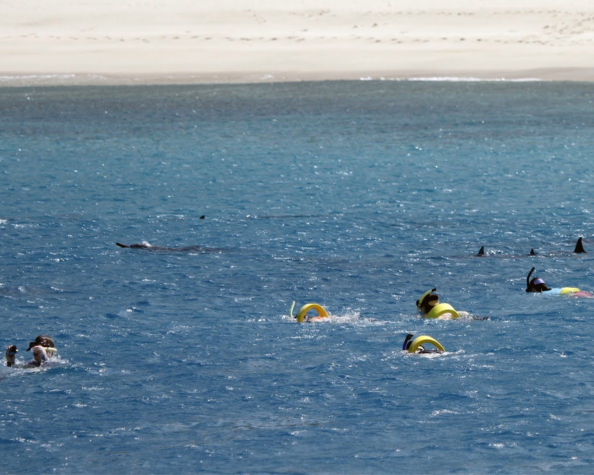 Enjoying Snorkeling in Hawaii